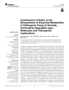 Involvement of Sulfur in the Biosynthesis of Essential Metabolites in Pathogenic  Fungi of Animals, particularly Aspergillus spp.: Molecular and Therapeutic  Implications - MURAL - Maynooth University Research Archive Library
