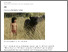 [thumbnail of Jungle Book reimagined_ spectacular CGI crafts a whole new reality.pdf]
