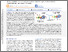 [thumbnail of SJ_the propto.pdf]