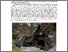 [thumbnail of LB_seoirse.pdf]